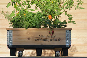 Mini-Jardin